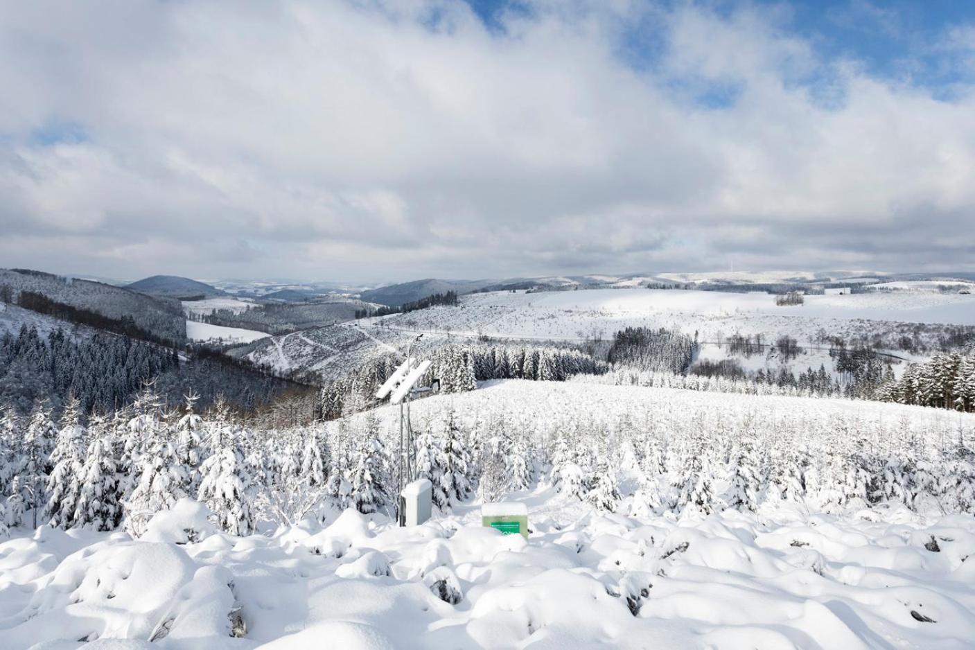 Am Finkenbusch Aan De Skipiste Willingen  Eksteriør billede
